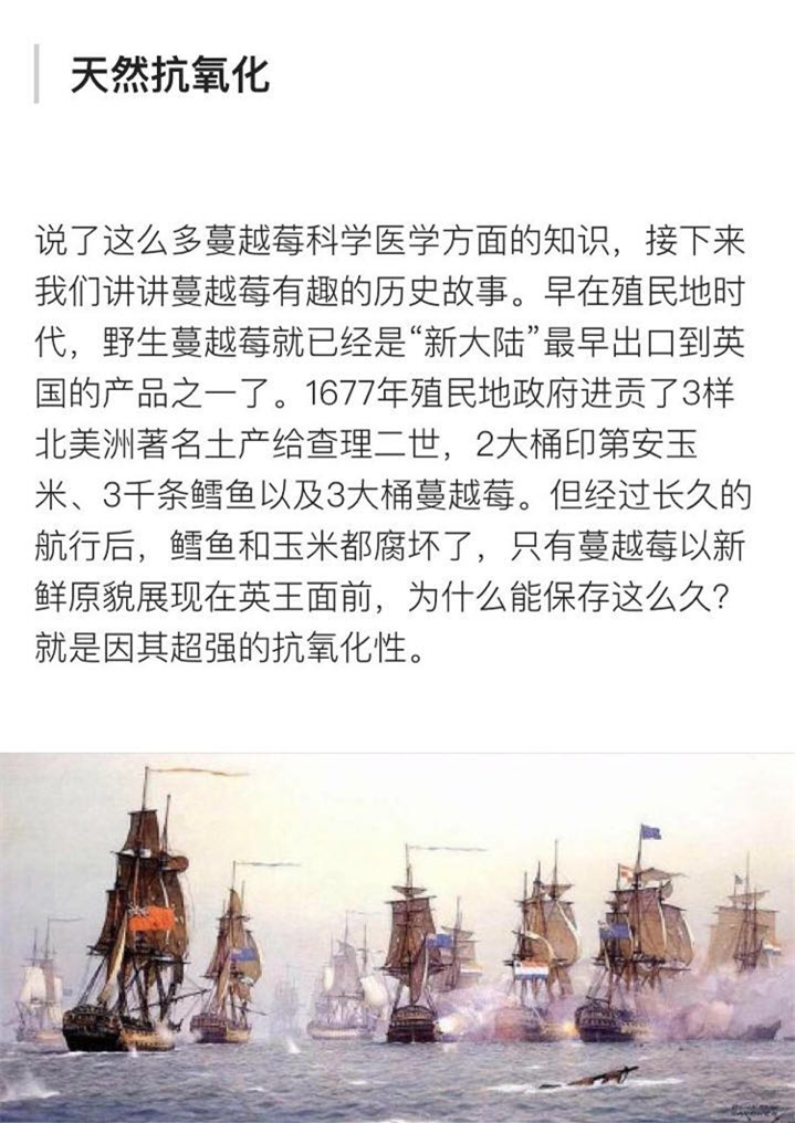 北美红宝石的蔓越莓,北美的红宝石蔓越莓