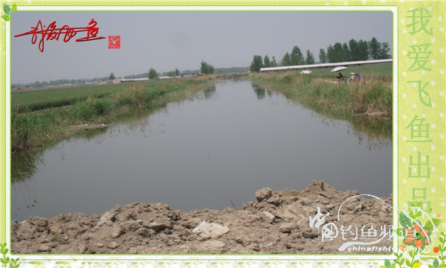 我爱飞鱼初探新钓点