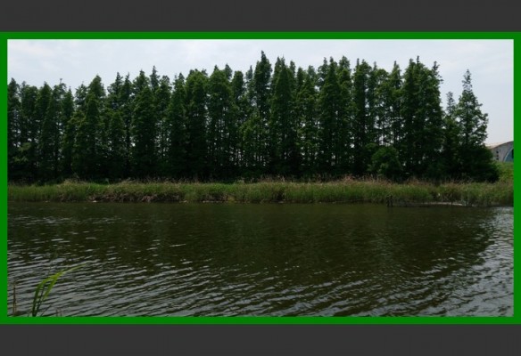 閲庨挀鐑х儰缁濅匠鐮佸ご,鎺ㄨ崘閽撻奔鐑х儰