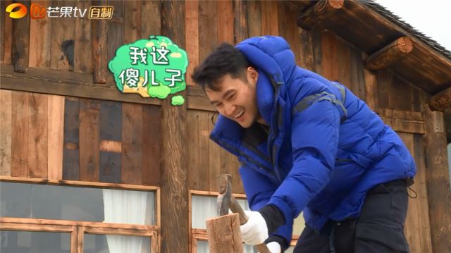 红心夫妇带队软萌宝贝和蠢萌宠物