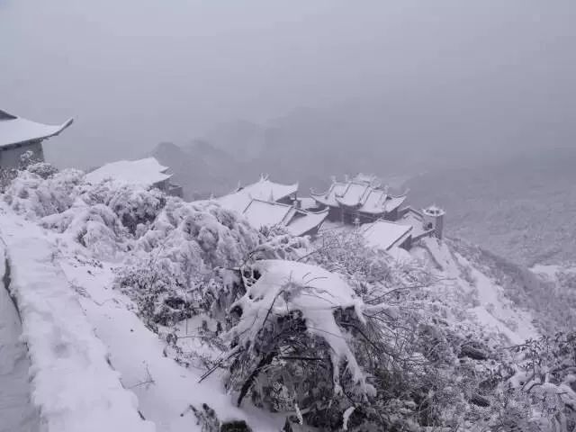 华蓥山风景区下雪了吗,华蓥山2022年2月1号下雪了吗