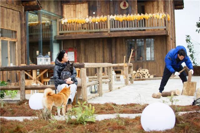 红心夫妇带队软萌宝贝和蠢萌宠物