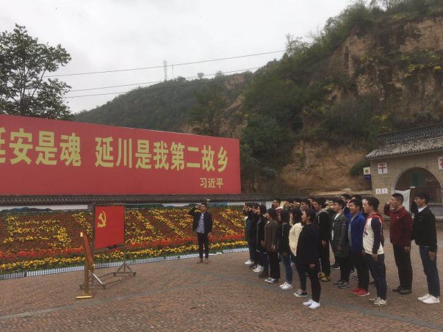 青马是什么马图片,大青马和一般的马