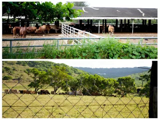 台湾最文艺的地方是哪里,台湾真正的文艺之地
