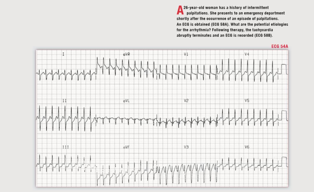 读心有术180期,读心有术视频讲解