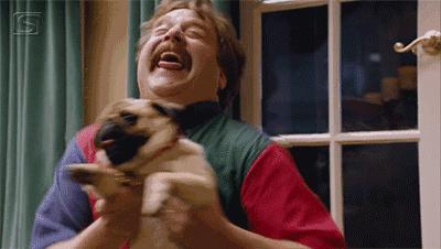 自古英雄出少年团,自古英雄出少年雏鹰展翅任翱翔