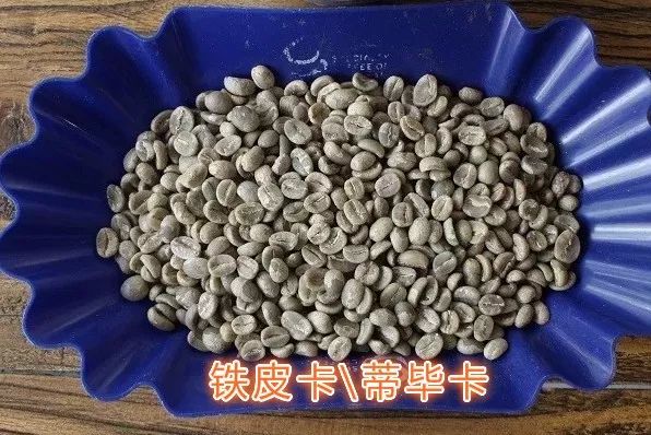 咖啡师入门必看的咖啡知识,精品咖啡学中咖啡的基本知识