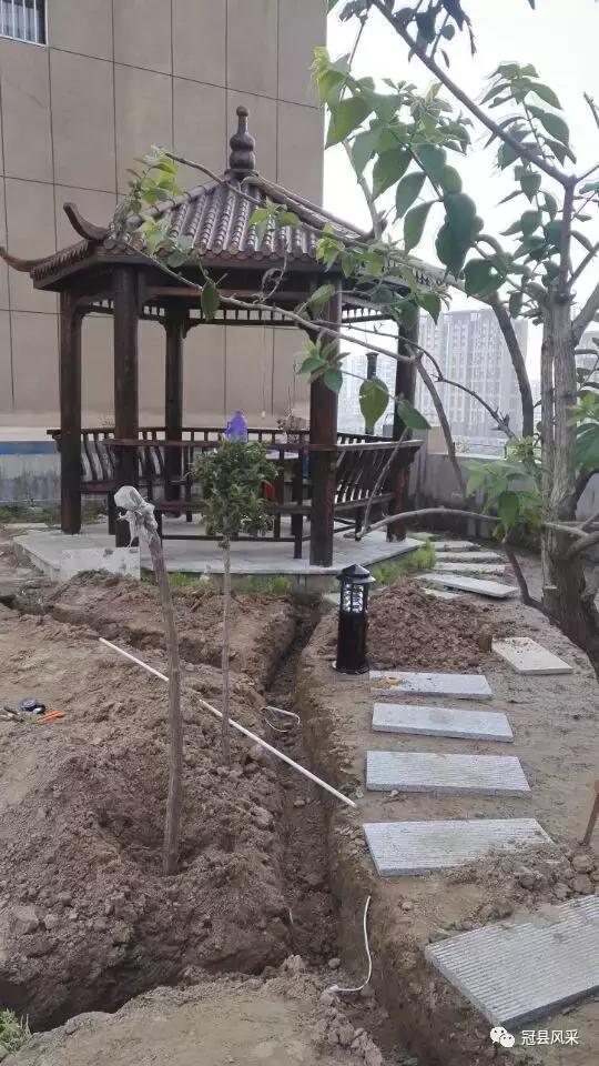 冠县的空中花园,冠县花园