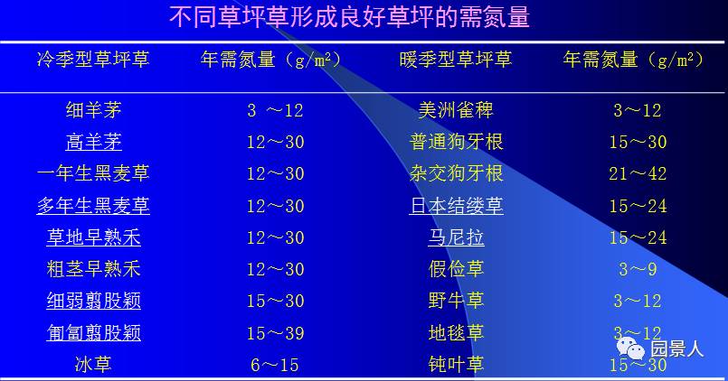 新铺的草坪怎么维护,草坪怎么维护保养