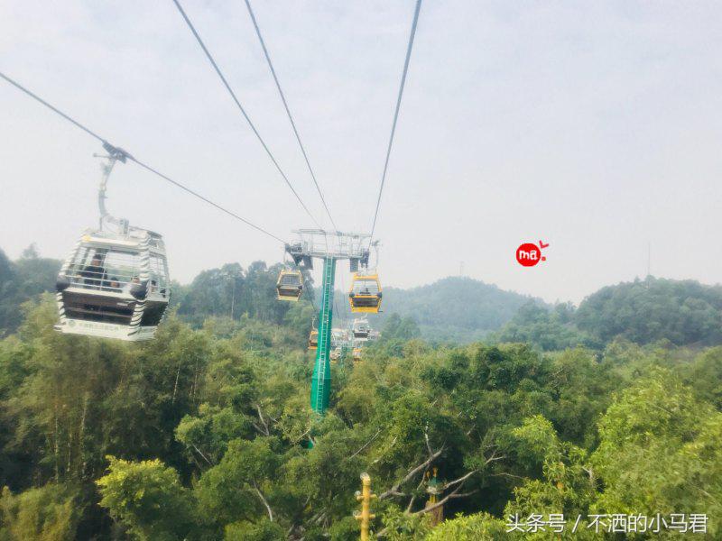 长隆野生动物园3天2晚亲子游,广州长隆野生动物园亲子游攻略