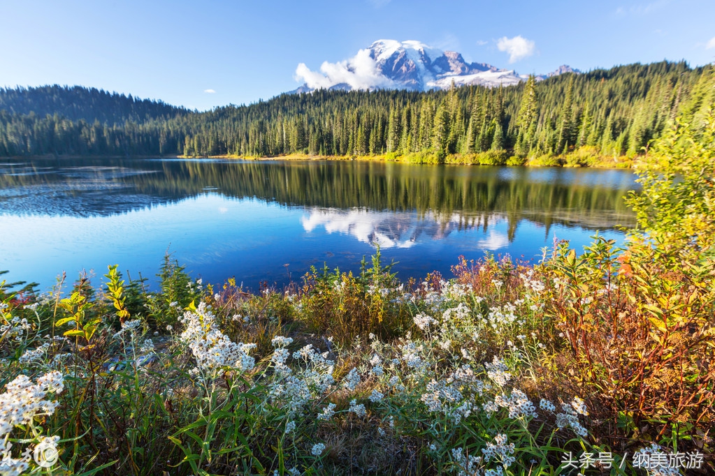 美国旅游自然风景区,美国旅游城市繁华