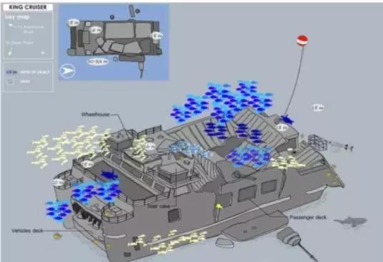 酷潜潜水普吉岛,普吉岛潜水不会游泳可以潜吗