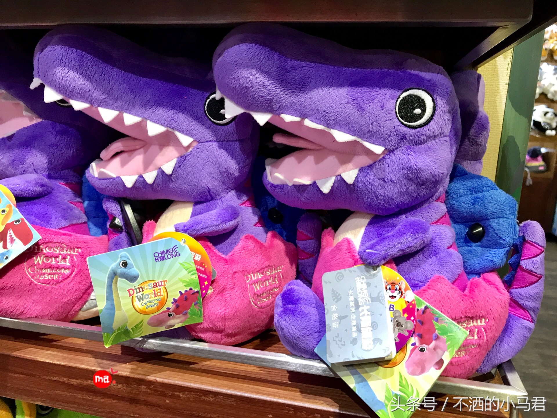 长隆野生动物园3天2晚亲子游,广州长隆野生动物园亲子游攻略