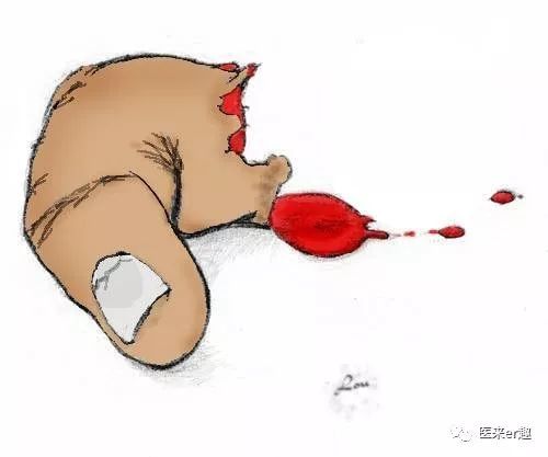 最全外伤科普集锦,谁不受伤谁的过往不曾有遗憾