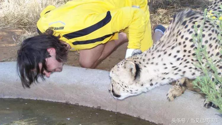 史上最惨门将第一名,奇葩的门将防球