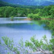 同题诗歌——《冬之恋》45首~总汇