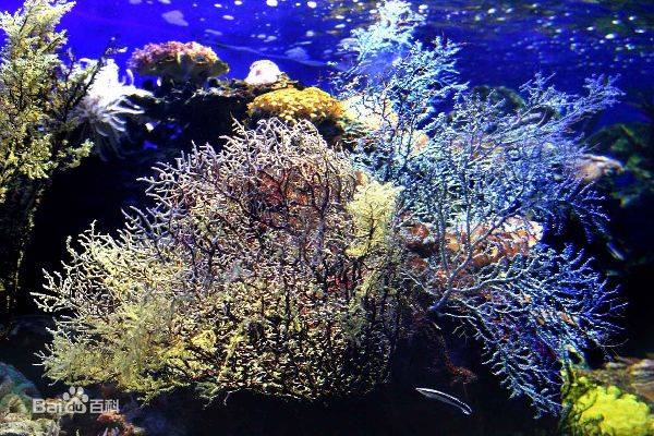 小复式装修改造 (小复式装修改造设计)