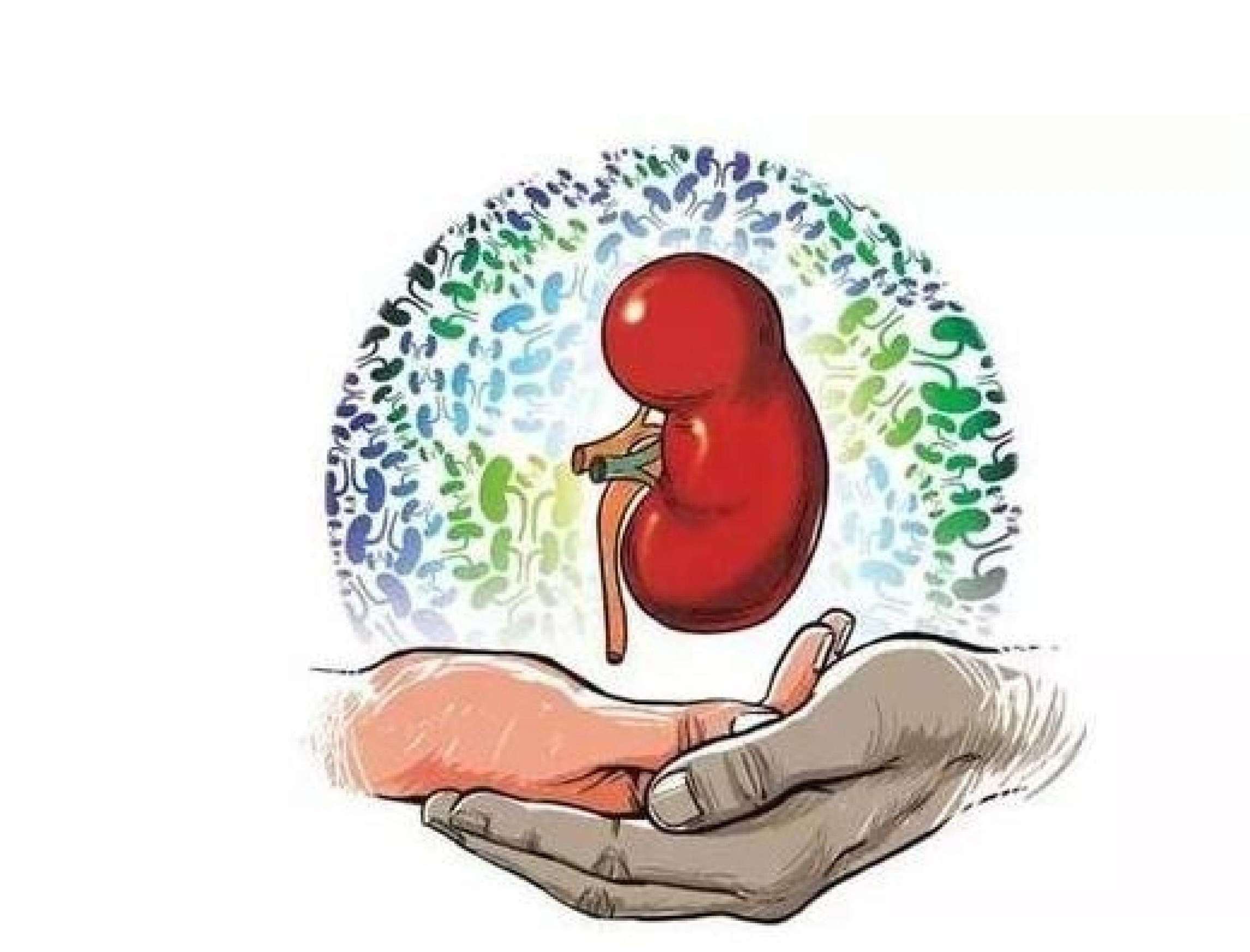 透析严重贫血高血压要紧吗,透析患者贫血快速加重原因