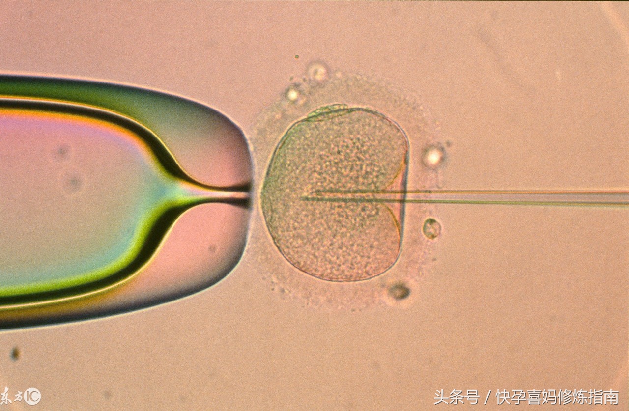 今天接到的悟空问答邀请有点意思：年过半百还能做试管婴儿吗？