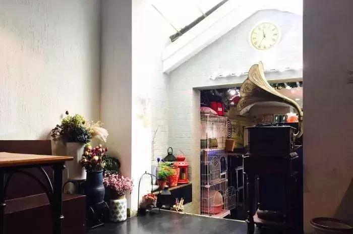 芝士味超级浓郁的披萨推荐,南京必打卡的餐厅栖霞区