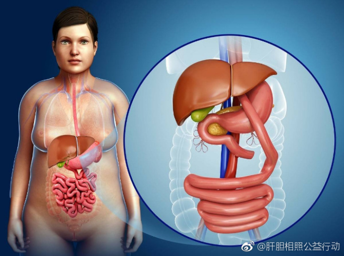 乙肝治疗打干扰素好还是吃药好,乙肝治疗既经济又实效的治疗方法