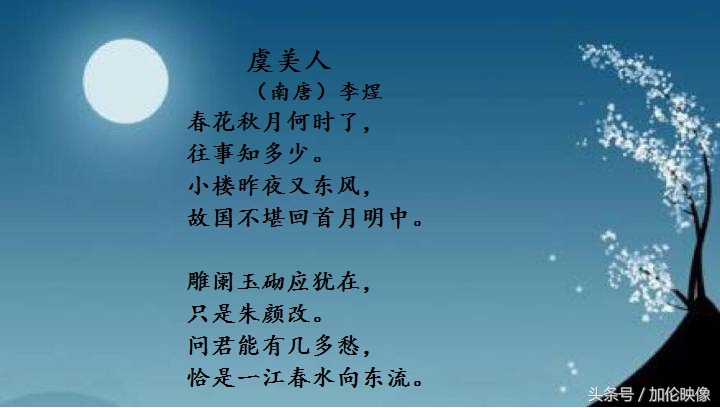 经典绝美的咏月古诗词,描写月的古诗最著名的10首