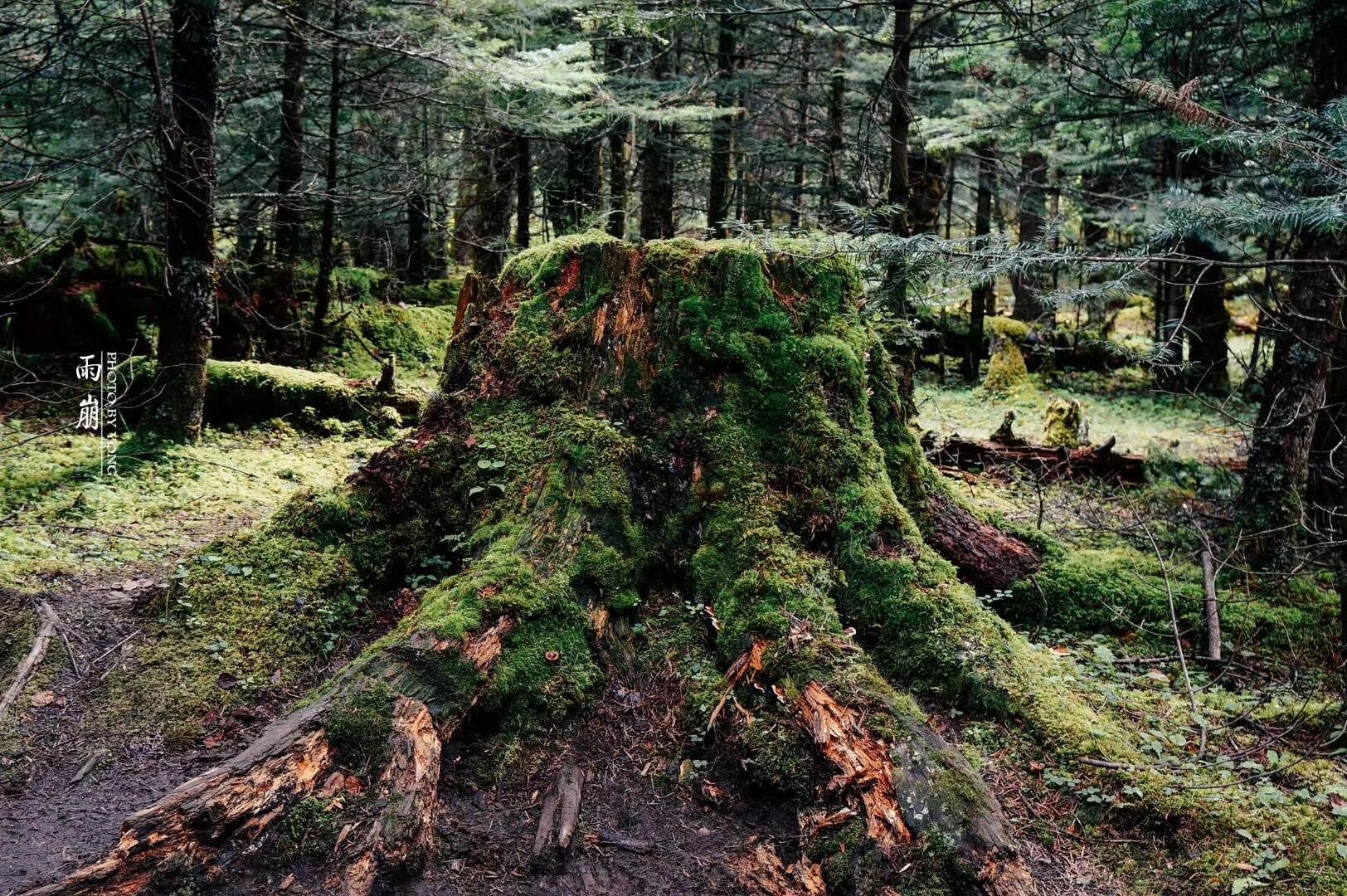天堂雨崩9完整版,天堂雨崩卡瓦格博