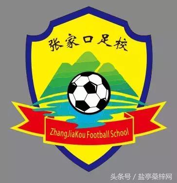 嫘祖球赛,绵阳盐亭嫘祖青少年足球