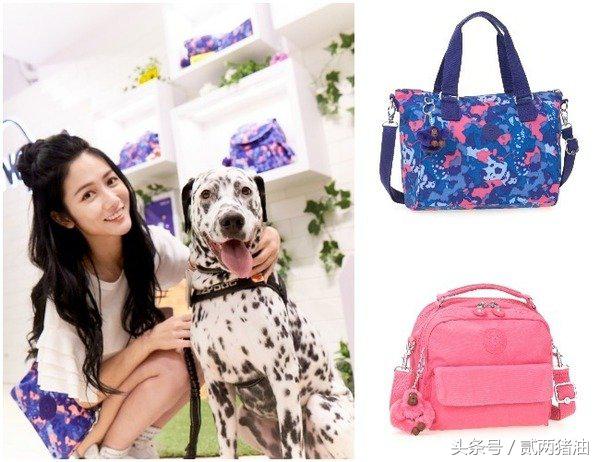 Gucci、LV、小CK狗年汪星人大集合！快把时尚汪们带回家