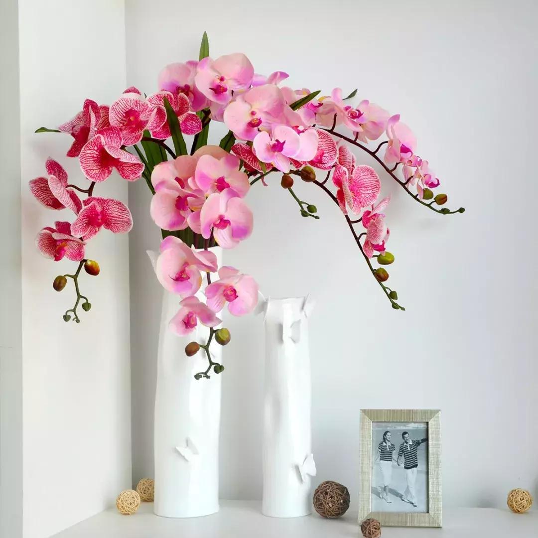 选花技巧和方法,各种花的养花技巧和方法