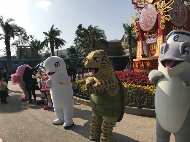 两天一晚珠海长隆旅游攻略,珠海长隆旅行一日游需要准备什么