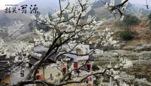 国内2月最美旅行地大推荐,风景线一路美到底(内附游玩线路)!