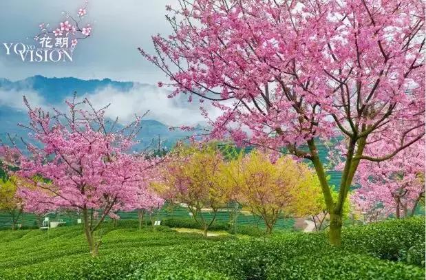 国内风景最好的旅游景点冬天,国内各地最美的十大自驾游线路