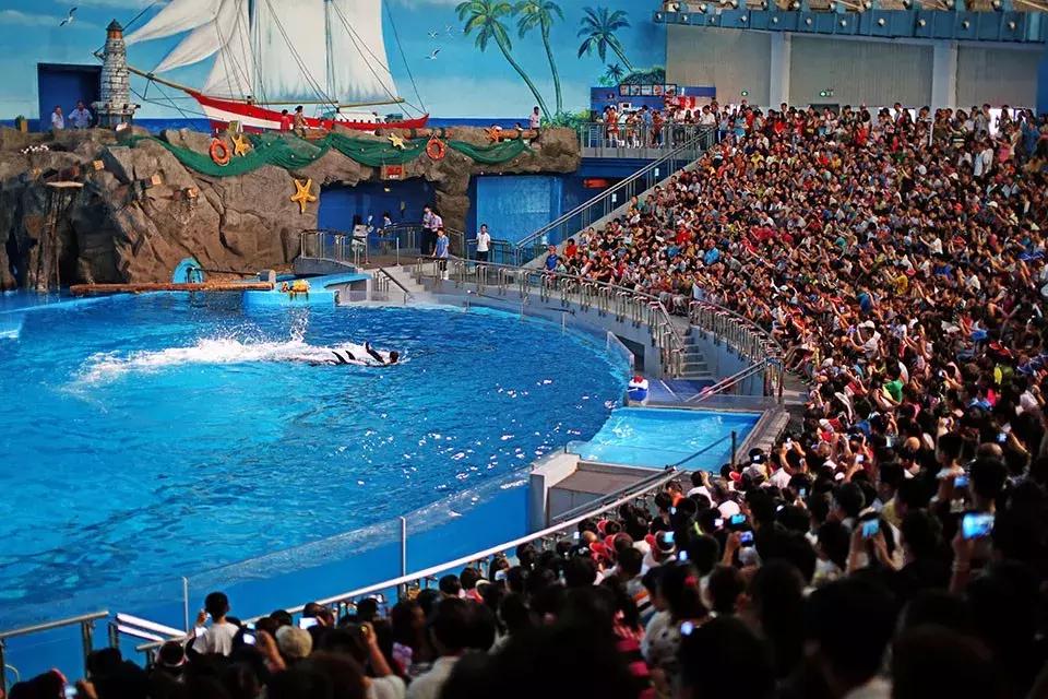 大连春节全攻略,2018大连市旅游攻略