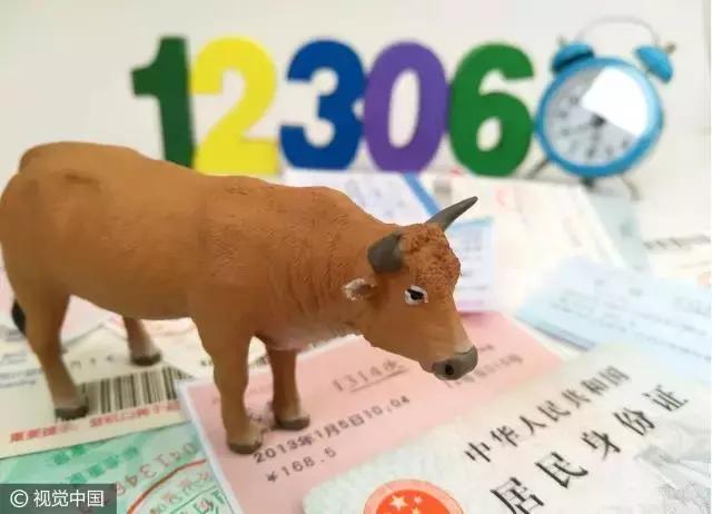 12306技术骨干,12306技术部