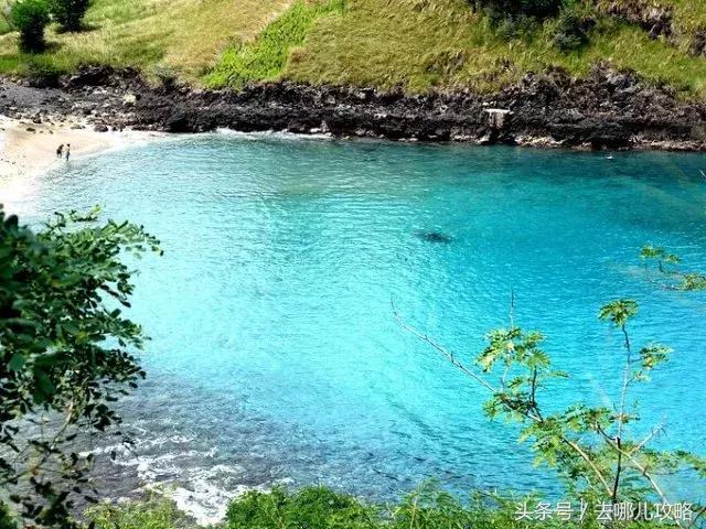 免签国家一览表最新,2023最新免签国家