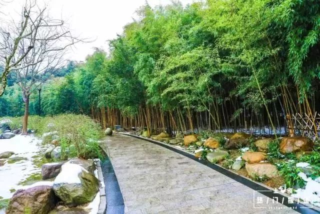 上海17号线东方绿舟,上海17号线附近游玩