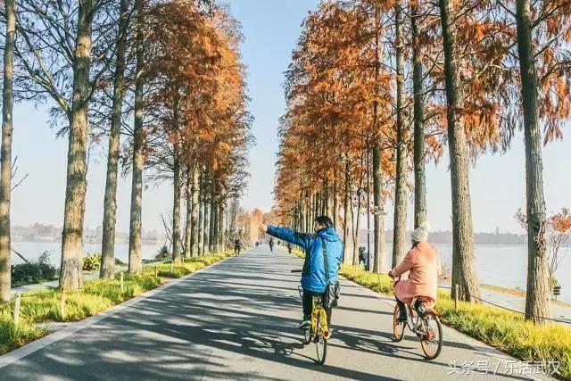 武汉春节新玩法,有一种过年叫宅在家里