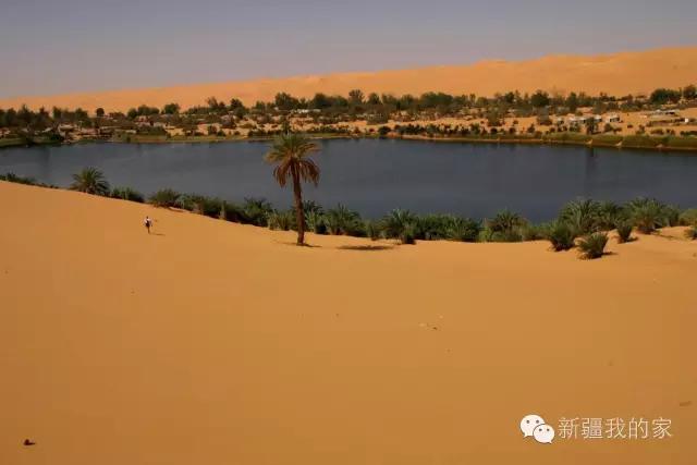 面积是全国最大县，农民收入直逼上海，说的就是*疆新**这个县