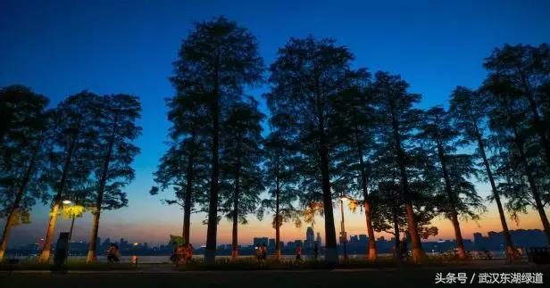 东湖绿道生机勃勃,世界级绿道东湖绿道