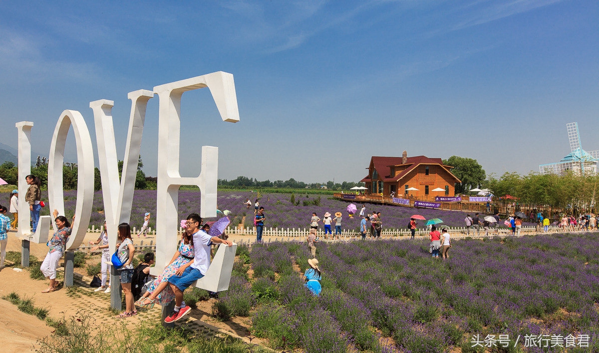 西安附近薰衣草庄园有哪些,西安周边薰衣草景区有哪些