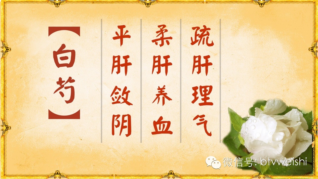 养生堂视频调养肝肾,北京卫视养生堂脾肾虚视频