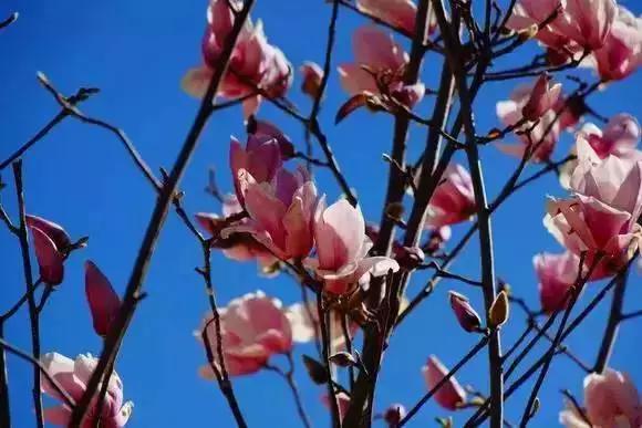 我在云南大学普普通通的一天,云南大学一年四季