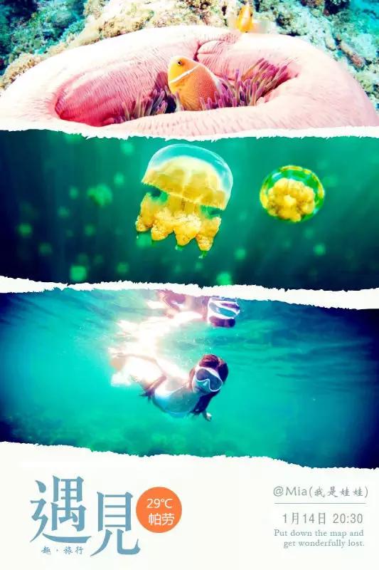 帕劳潜水之旅第三集,帕劳潜水之旅第二部