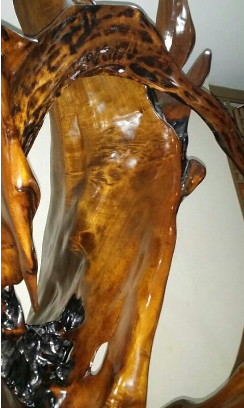 金丝楠乌木之王,金丝楠乌木帝王木