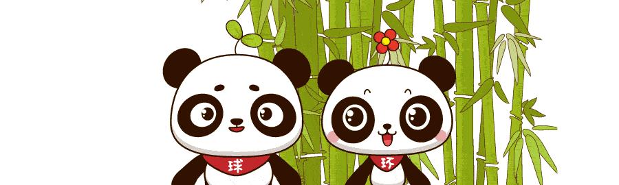 央视是中央电视台吗,台湾的中央电视台叫什么