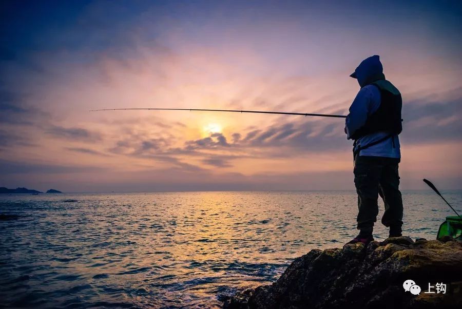海钓矶钓新手的入门教程,海钓矶钓技巧教学解说