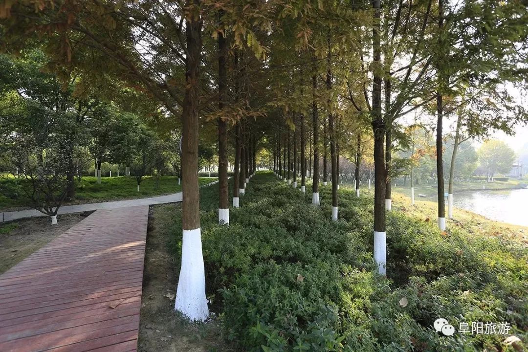 阔别一年的小清河焕然一新,时隔一年大变样