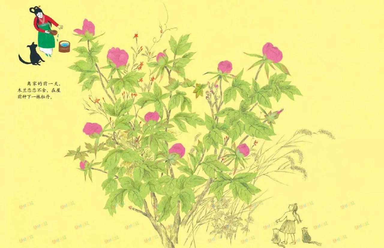 为什么我们都爱花木兰，这本中英艺术家合作的图画书细细向你道来丨读书者说
