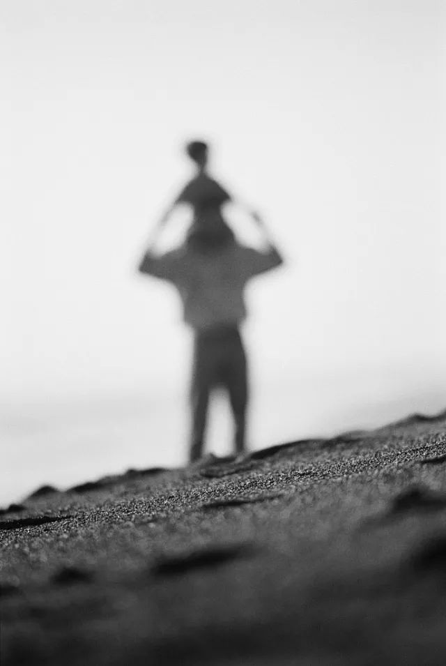 贾平凹访谈,贾平凹对话贾浅浅